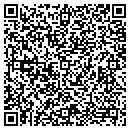 QR code with Cybernetics Inc contacts