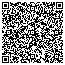 QR code with Premier Group contacts