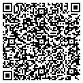 QR code with Tdm Inc contacts