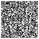 QR code with Puliafico Environmental contacts