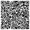 QR code with Blue Ribbon AG Supply contacts
