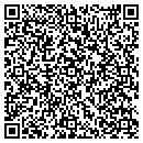 QR code with Pvg Graphics contacts