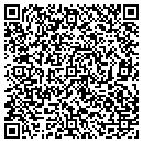QR code with Chameleon Art Studio contacts