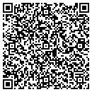 QR code with Pulse Biomedical Inc contacts