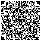 QR code with Pulmonary Diagnostics contacts