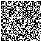 QR code with Public Interest Grafix contacts