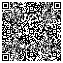 QR code with Pub Tech LLC contacts