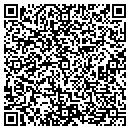 QR code with Pva Interactive contacts
