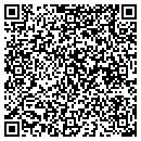 QR code with Prographics contacts