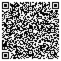 QR code with Stable contacts