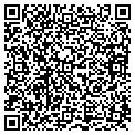 QR code with Ymca contacts