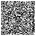QR code with Ymca contacts