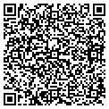 QR code with Ymca contacts