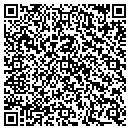 QR code with Public Storage contacts