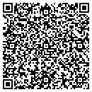 QR code with Practically Painted contacts