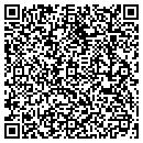 QR code with Premier Travel contacts