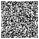 QR code with Cave Communications contacts
