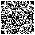 QR code with Ymca contacts