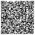 QR code with Badger Graphic Systems contacts