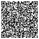 QR code with Bluelight Software contacts