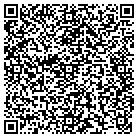 QR code with Public Safety Electronics contacts