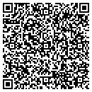 QR code with Pubtek International contacts