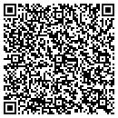 QR code with Curve Digital Limited contacts