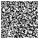QR code with Career Strategies Inc contacts