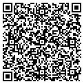 QR code with Vissta contacts