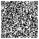QR code with Pueblo Economic Dev Corp contacts