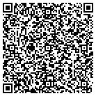 QR code with Pulse Dynamic Media Inc contacts