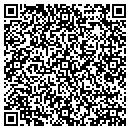 QR code with Precision Artists contacts