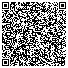 QR code with Public Address Design contacts