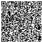 QR code with Pulaski County Attorney contacts