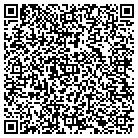 QR code with Pulaski County Computer Info contacts