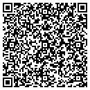 QR code with Public Image contacts