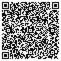 QR code with Pavilion contacts