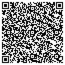 QR code with Conceptual Images contacts