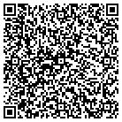 QR code with Blue Ridge Rehab Service contacts