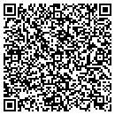 QR code with Cycad & Bone Lapidary contacts