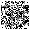 QR code with Professional Images contacts