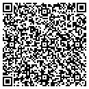 QR code with Publicity Image Com contacts