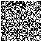 QR code with Publique Image In Motion contacts