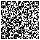 QR code with Premier Industries Inc contacts