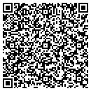 QR code with Carr Image Group LLC contacts
