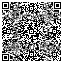 QR code with Precession Image LLC contacts