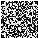 QR code with Cynthia K Vanfarowe Md contacts
