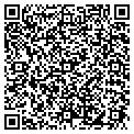 QR code with Island Studio contacts