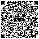 QR code with Premier Window Tint contacts