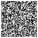 QR code with Public Images contacts
